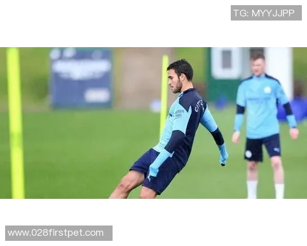 米兰有意引进亚特兰大后卫斯卡尔维尼加强防线实力